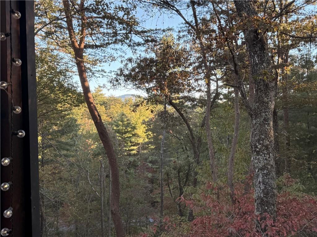 35 Leatherwood Mtn Road
