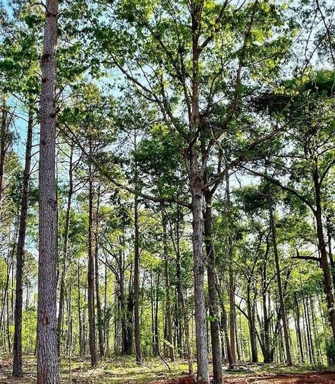 1660 Watkins Farm Road Nicholson GA 30565