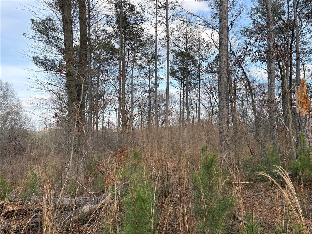 1660 Watkins Farm Road