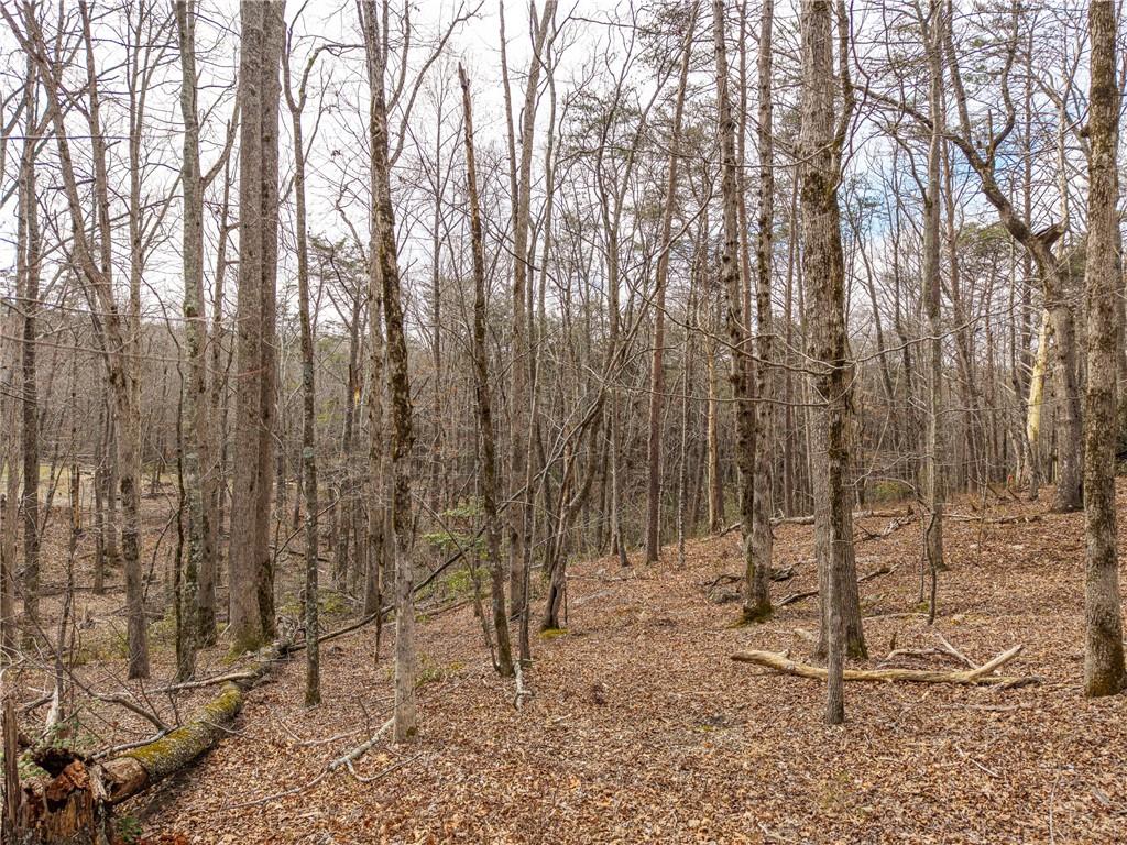 LT 167 Henderson Mountain Road