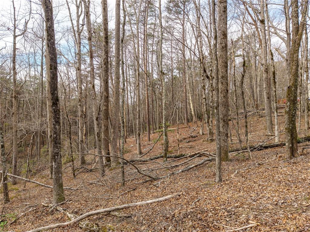 LT 167 Henderson Mountain Road