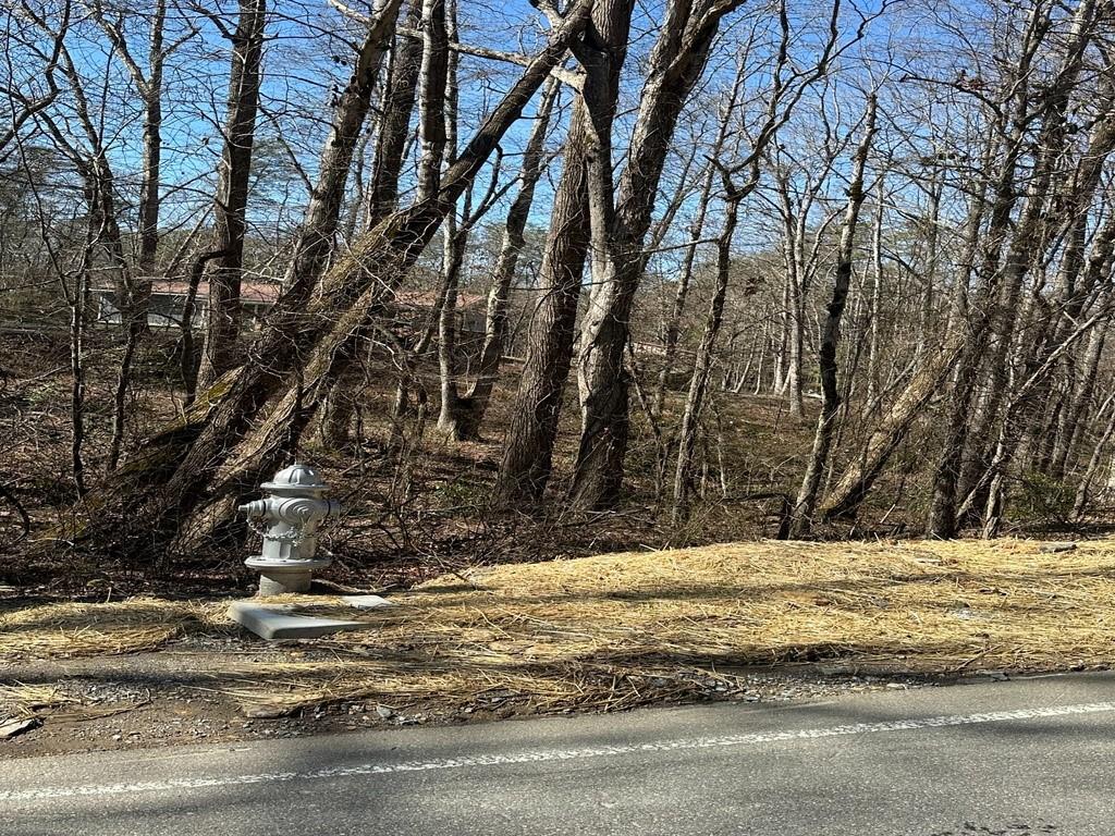 LT 167 Henderson Mountain Road