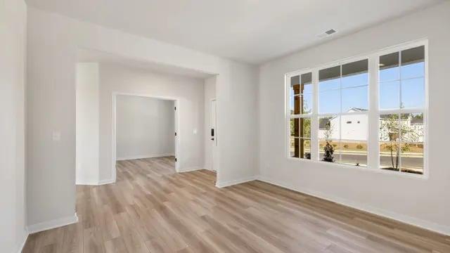 3930 Silver Pine Trail
