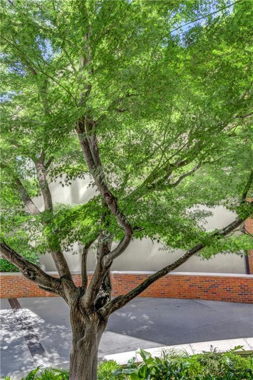 2626 Peachtree Road NW 412