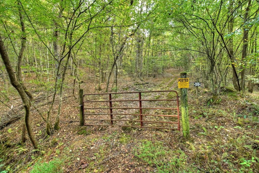 Spring Street, Mineral Bluff, Georgia image 8