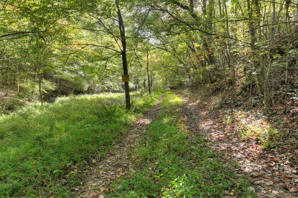 Spring Street, Mineral Bluff, Georgia image 30