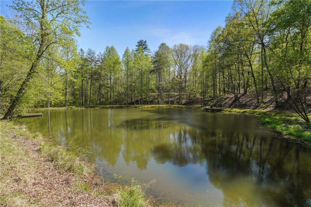 68 Flynt Ridge Drive, Dahlonega, Georgia image 40