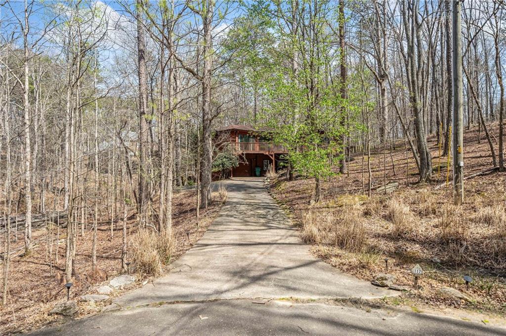 117 Marten Court, Waleska, Georgia image 3