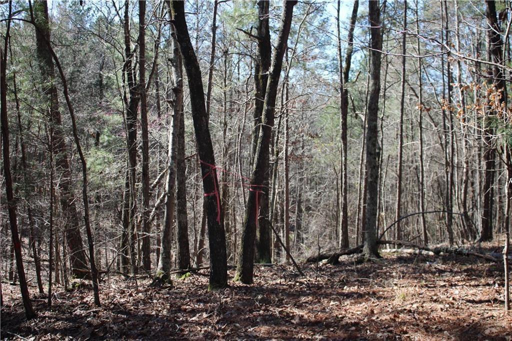 This gorgeous cul de sac lot boasts 3.56 acres of private residential land. Complete with septic tank, water, and power...just bring your building plans and dig in!