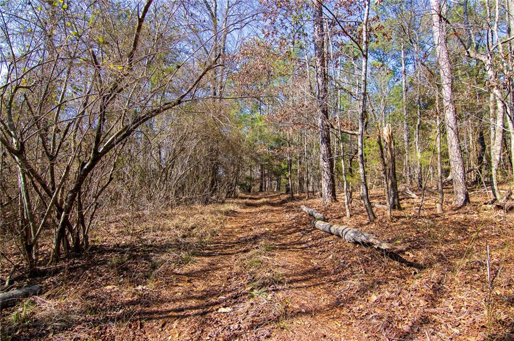 Kings Gap Road, Hamilton, Georgia image 41