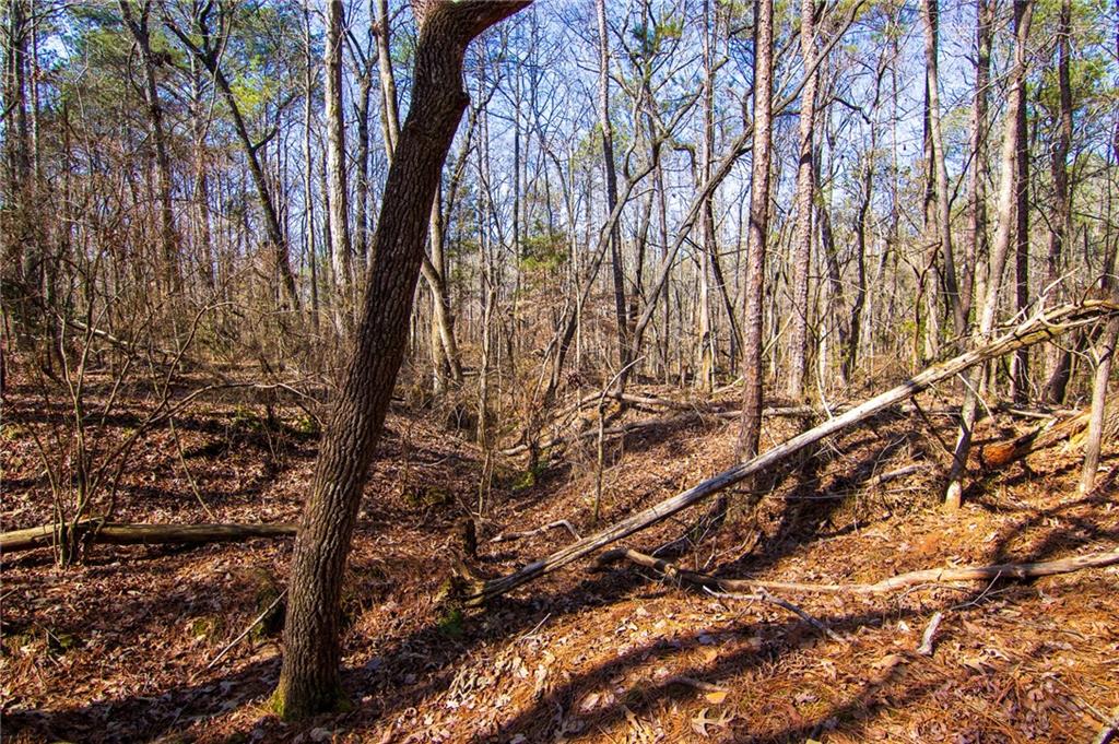 Kings Gap Road, Hamilton, Georgia image 8