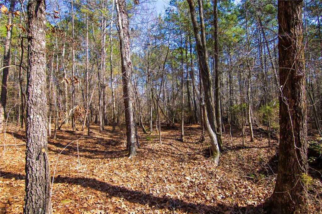 Kings Gap Road, Hamilton, Georgia image 5