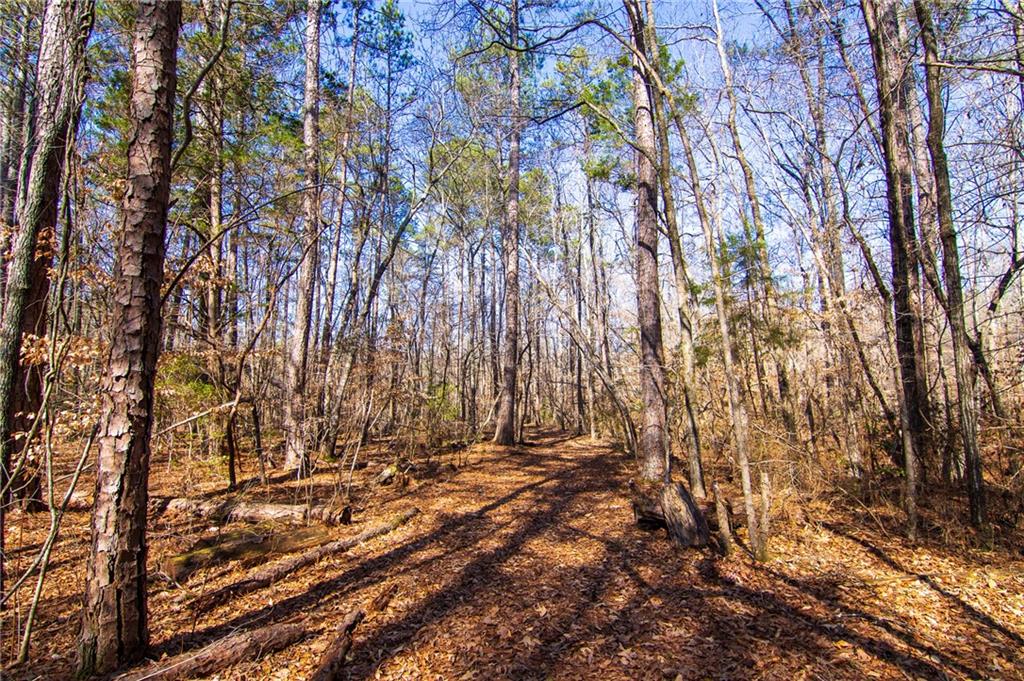 Kings Gap Road, Hamilton, Georgia image 18