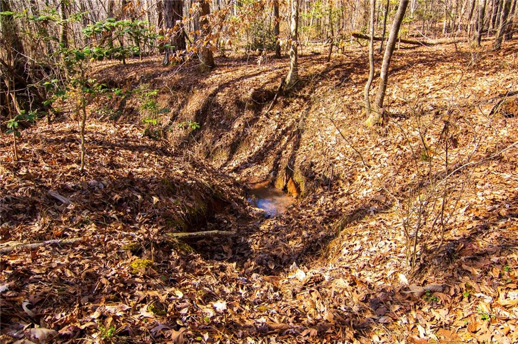 Kings Gap Road, Hamilton, Georgia image 6