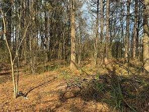 2949 Rosebud Road, Snellville, Georgia image 32