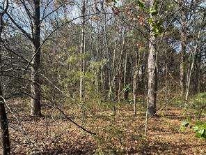 2949 Rosebud Road, Snellville, Georgia image 18