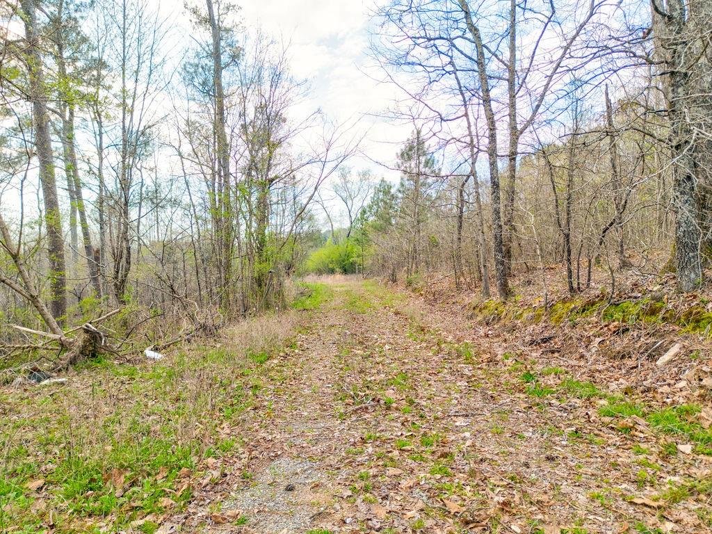 0 Moran Lake Road
