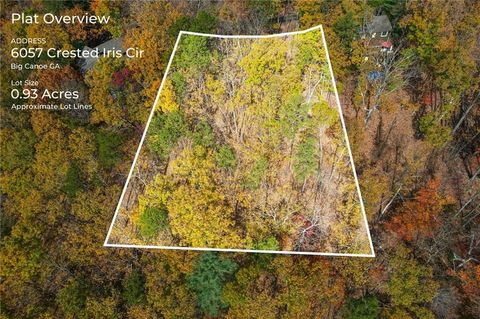 Vacant Land For Sale - 6057 Crested Iris<br/> Big Canoe, GA 30143