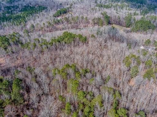 Williams Tract D Lane, Ball Ground, Georgia image 3