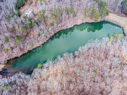 Williams Tract D Lane, Ball Ground, Georgia image 5