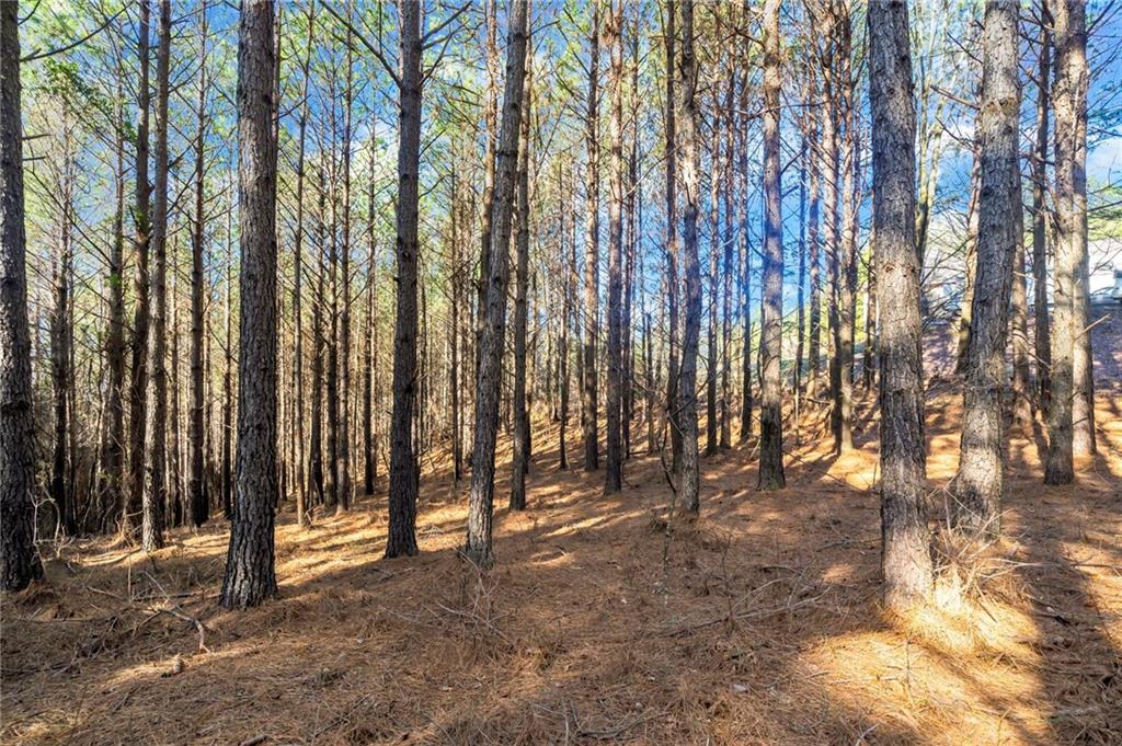 Foxpaw Leaf Lane, Ellijay, Georgia image 3