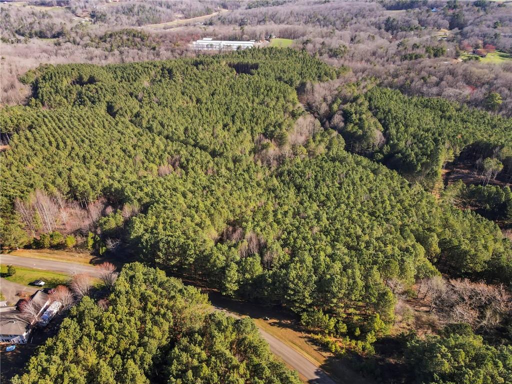 Foxpaw Leaf Lane, Ellijay, Georgia image 9