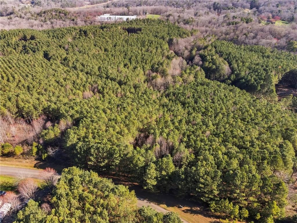 Foxpaw Leaf Lane, Ellijay, Georgia image 8