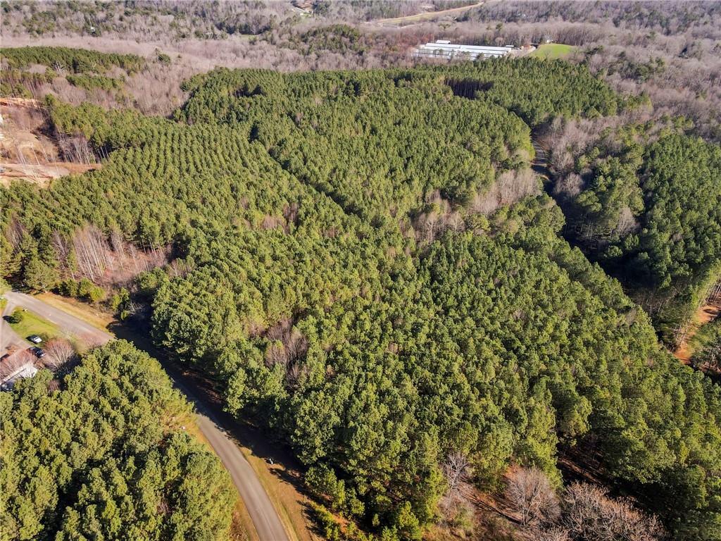 Foxpaw Leaf Lane, Ellijay, Georgia image 10