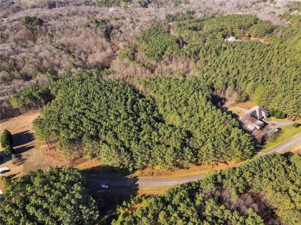 Foxpaw Leaf Lane, Ellijay, Georgia image 14