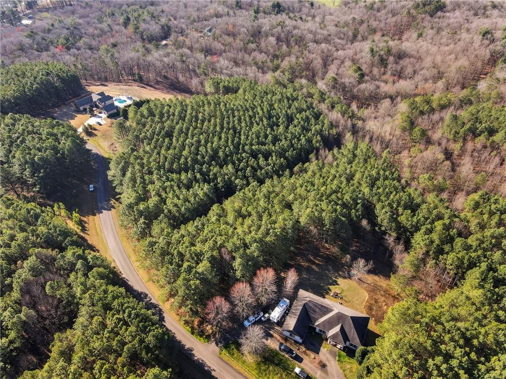 Foxpaw Leaf Lane, Ellijay, Georgia image 17