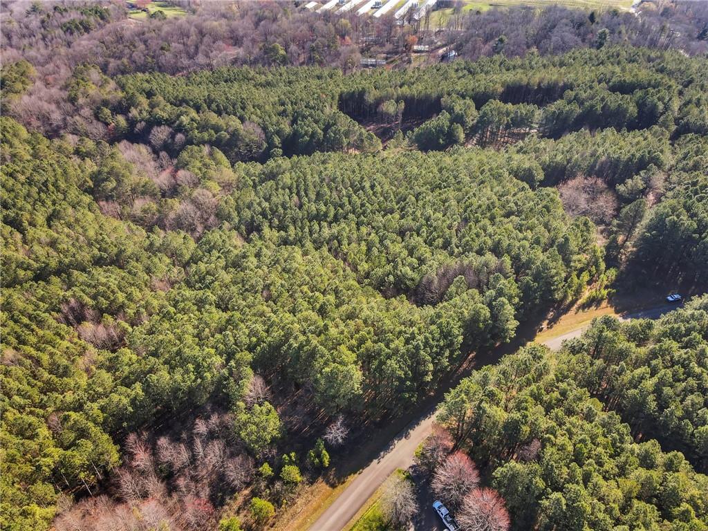 Foxpaw Leaf Lane, Ellijay, Georgia image 18