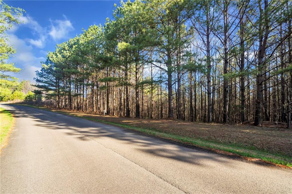 Foxpaw Leaf Lane, Ellijay, Georgia image 1