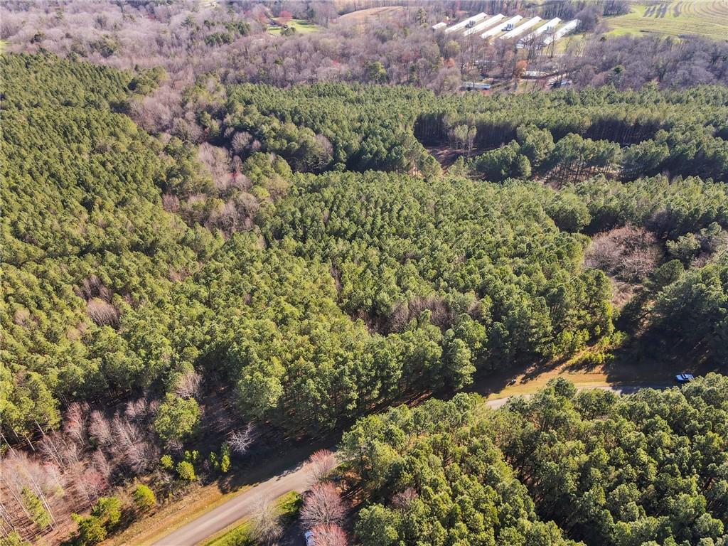 Foxpaw Leaf Lane, Ellijay, Georgia image 19