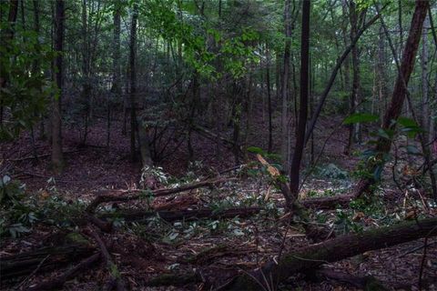 A home in Ellijay