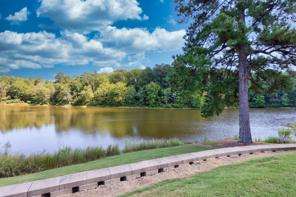 240 Orchard Drive, Covington, Georgia image 37