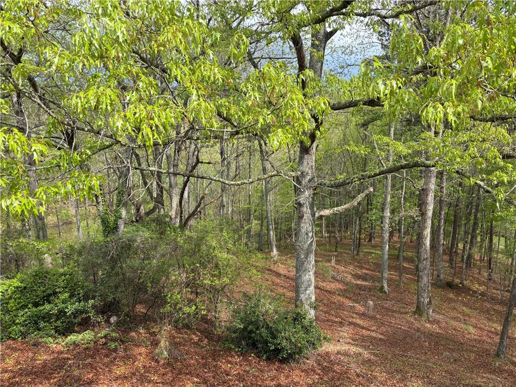 5894 Highway 20, Cartersville, Georgia image 49