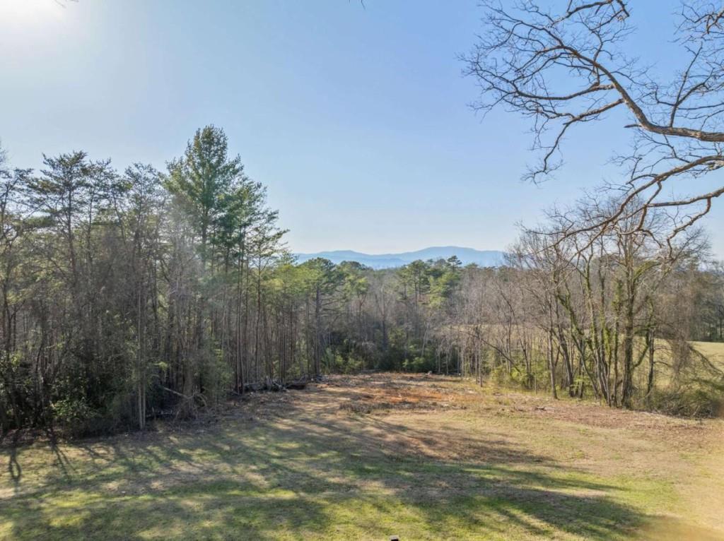 340 Lavista Drive, Blue Ridge, Georgia image 32