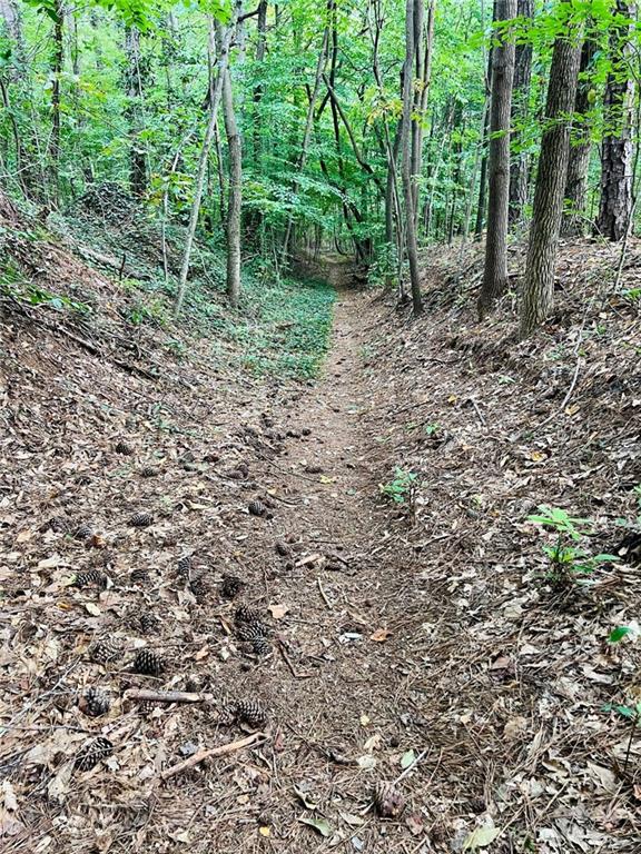 Terrell Mill Estates - Residential