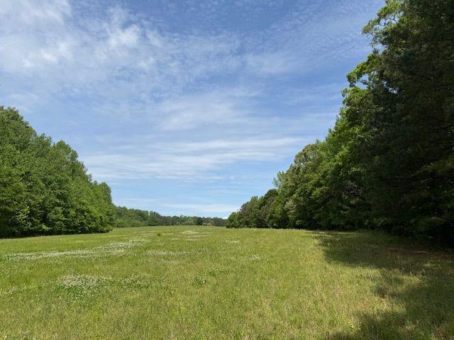 200 Lem Edwards Road, Winterville, Georgia image 7