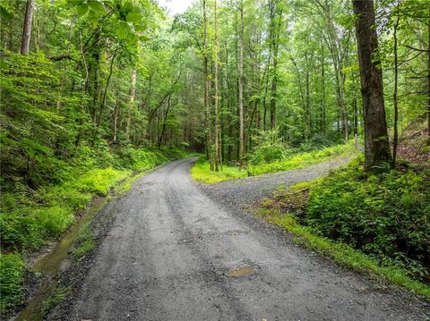 Vacant Land For Sale - 5846 Gates Chapel Road<br/> Ellijay, GA 30540