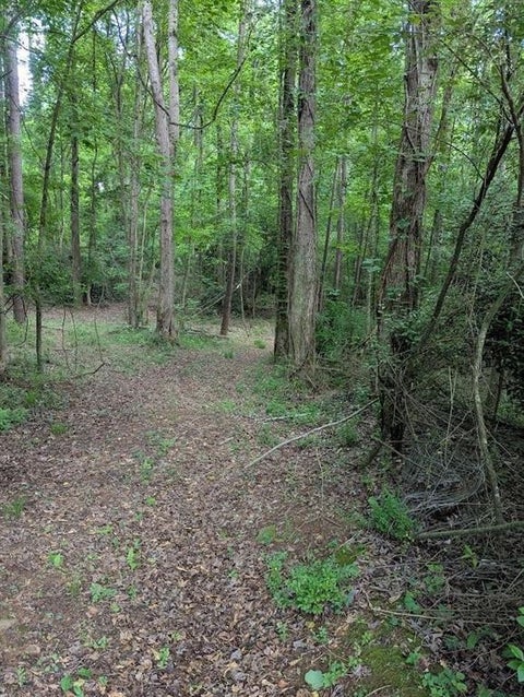 Vacant Land For Sale - 2773 River Road<br/> Ellenwood, GA 30294