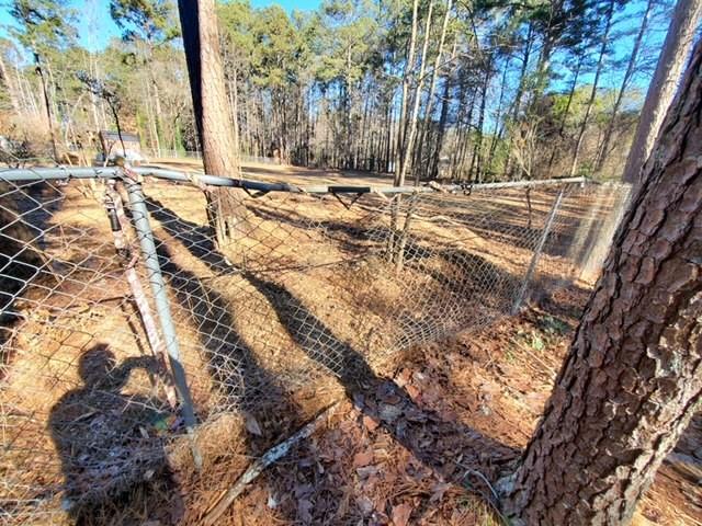 542 Banks Road, Fayetteville, Georgia image 19