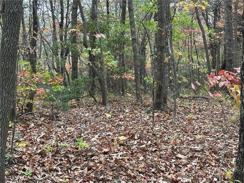 0 Northland Trail Ellijay GA 30536