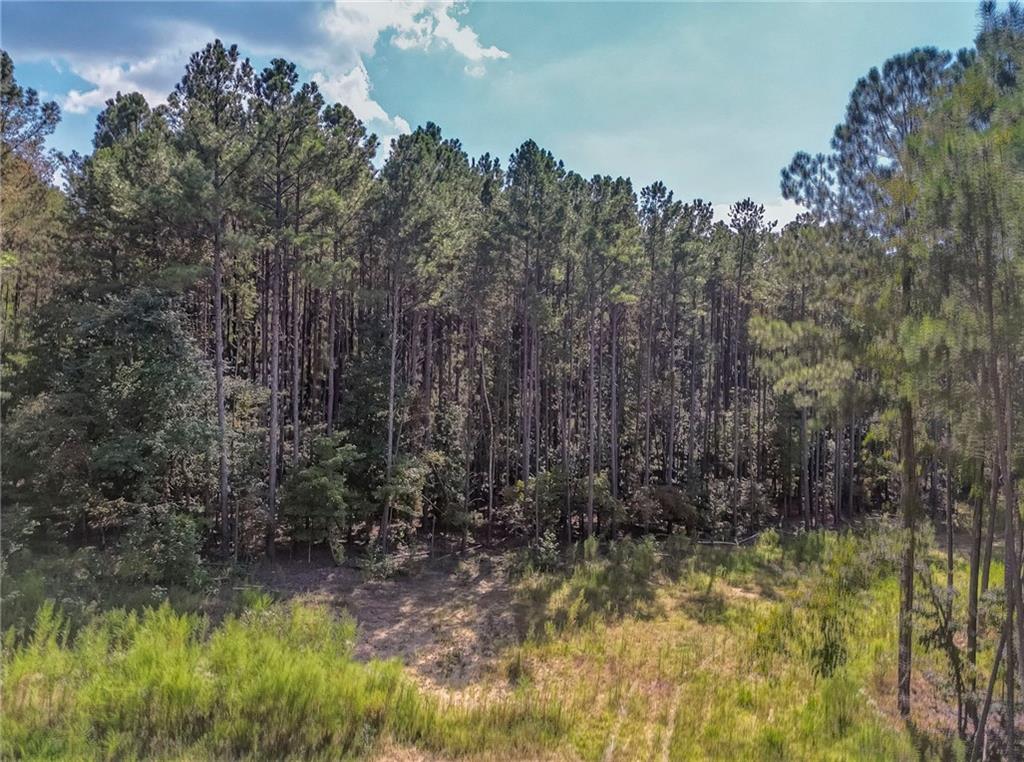 Welcome home to 6.27 stunning acres ready for the home of your dreams! This gorgeous land boasts a driveway that dreams are made of! This is a must-see and will not disappoint