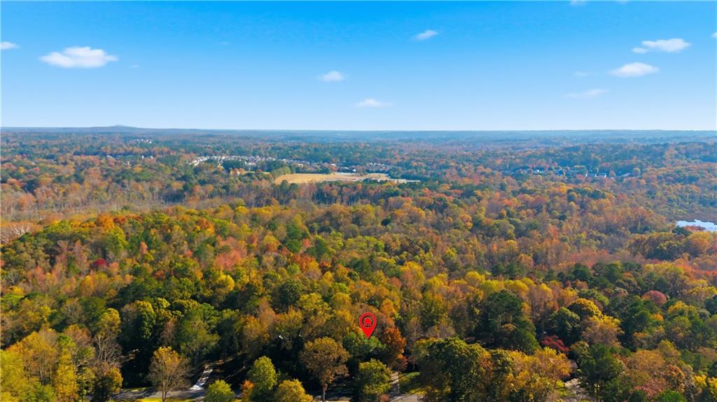 Driftwood Forest - Residential