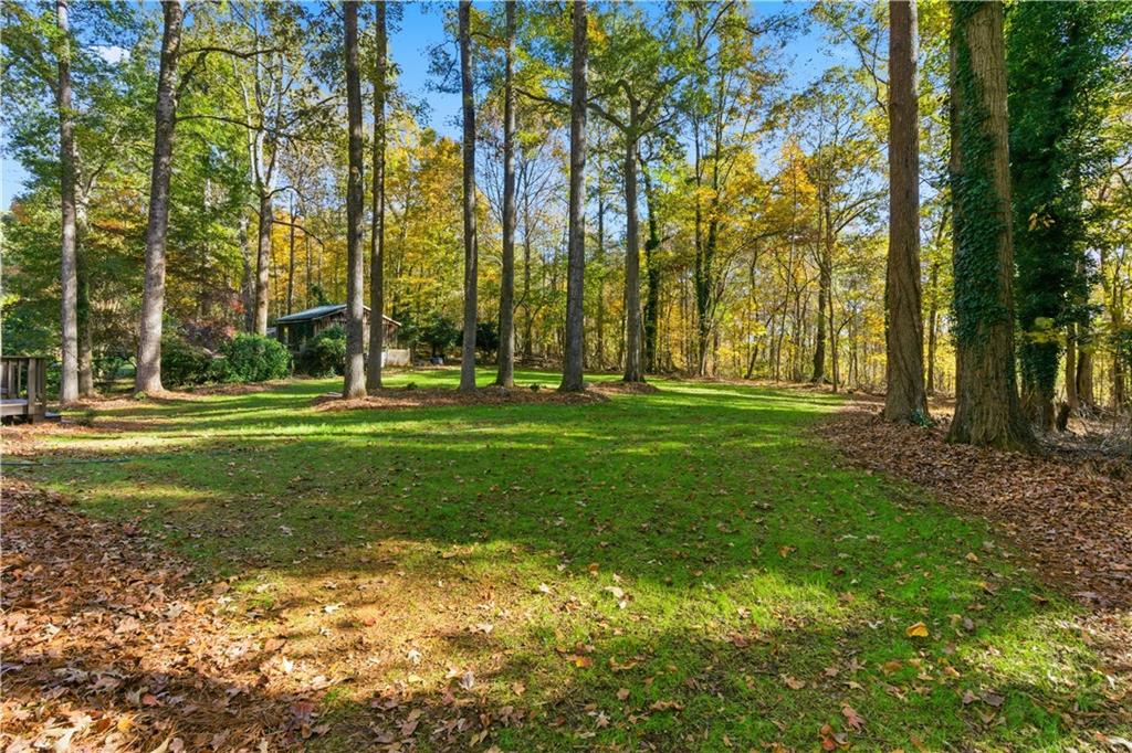 Driftwood Forest - Residential