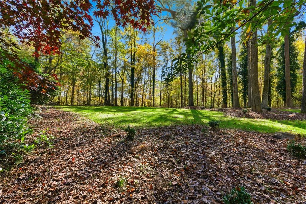 Driftwood Forest - Residential