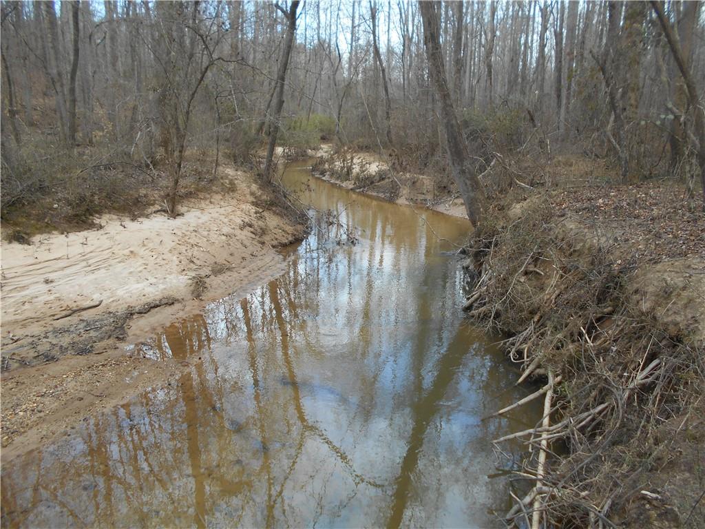 S Sharon Church Road, Loganville, Georgia image 32