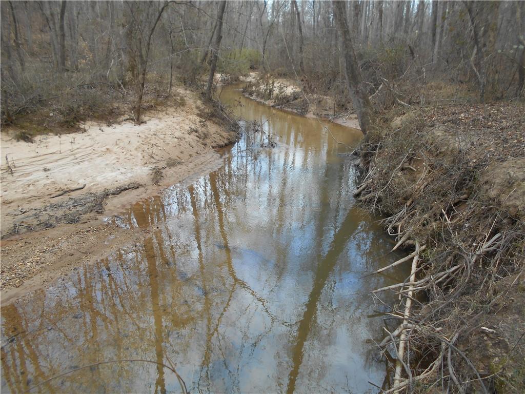 S Sharon Church Road, Loganville, Georgia image 33