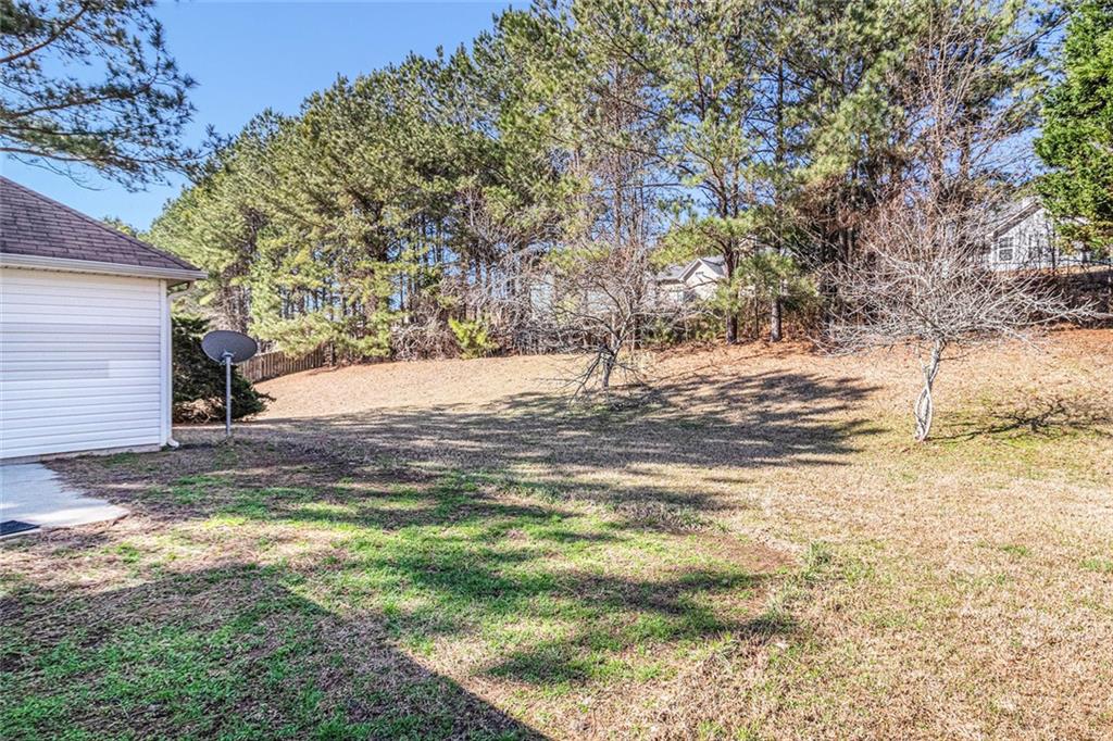 11941 Fairway Overlook, Fayetteville, Georgia image 23